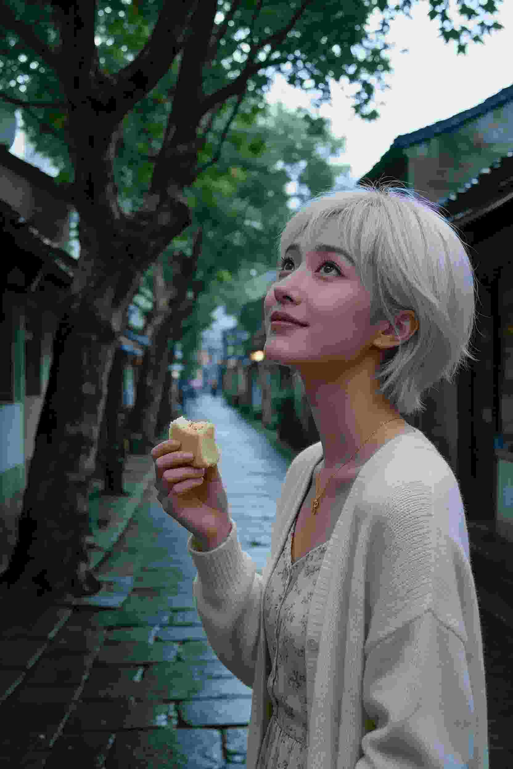 番剧推荐